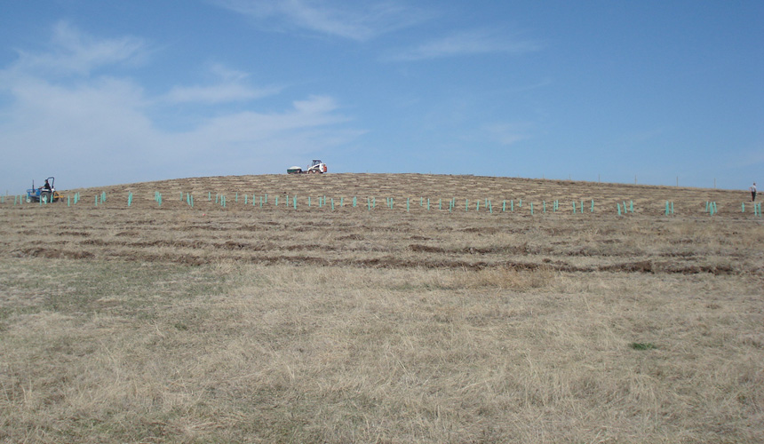 The plot of prairie where Old Folsom Vineyard now grows