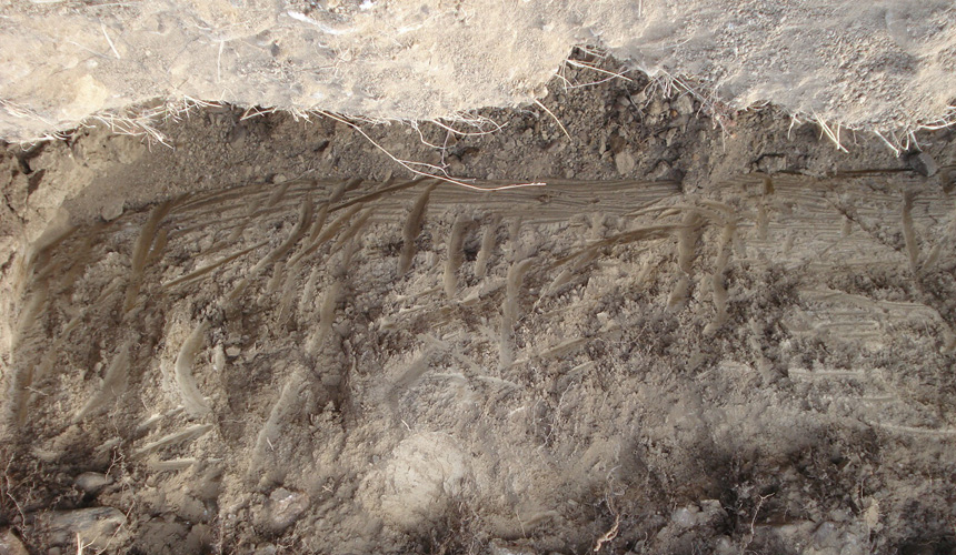 A cross-section of the vineyard’s calcareous clay loam soil